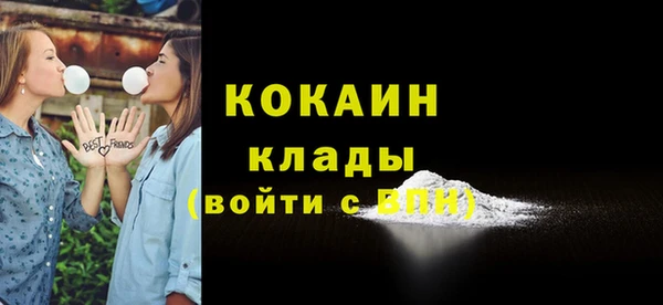 ECSTASY Алзамай