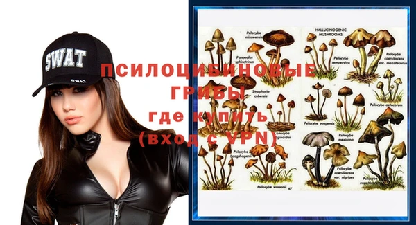 ECSTASY Алзамай